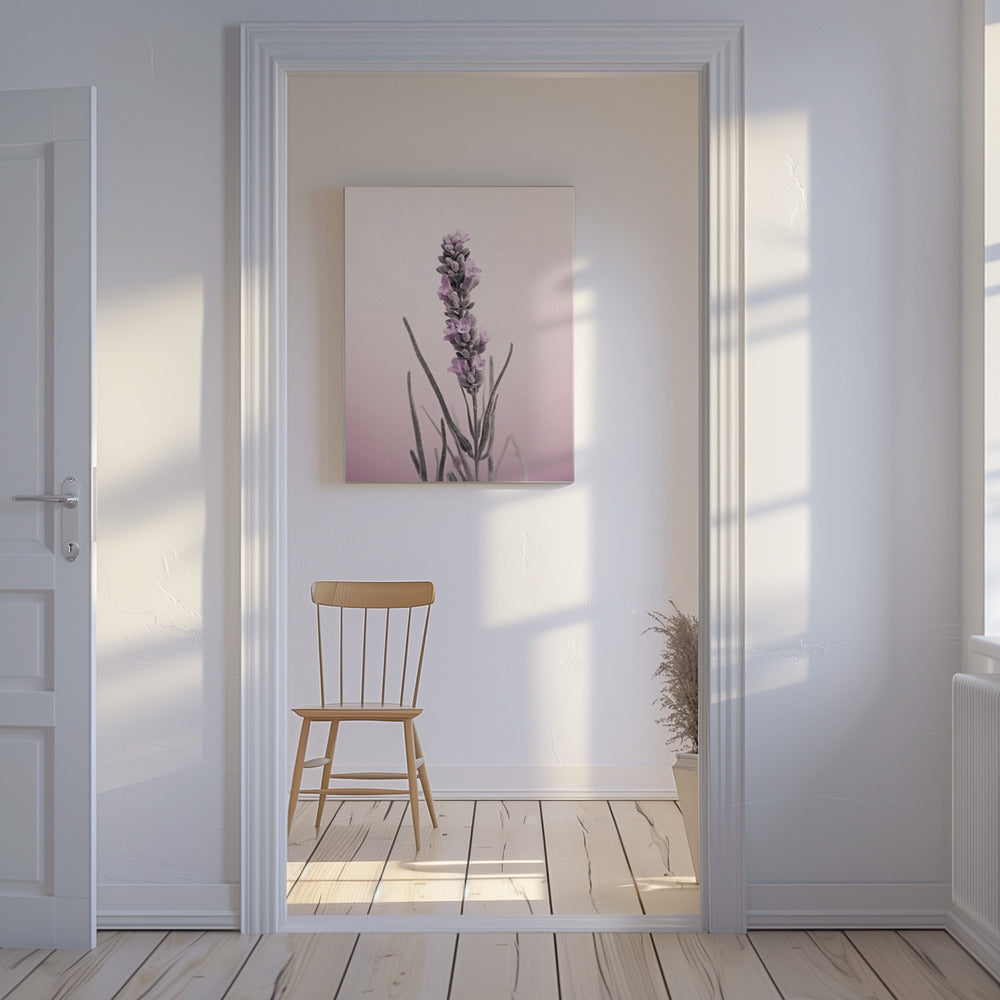 Lavender Dreams | Canvas