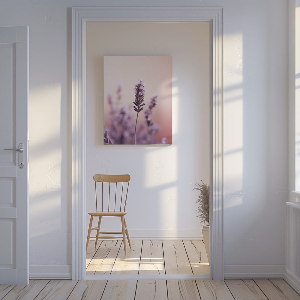 Lavender Serenity | Canvas