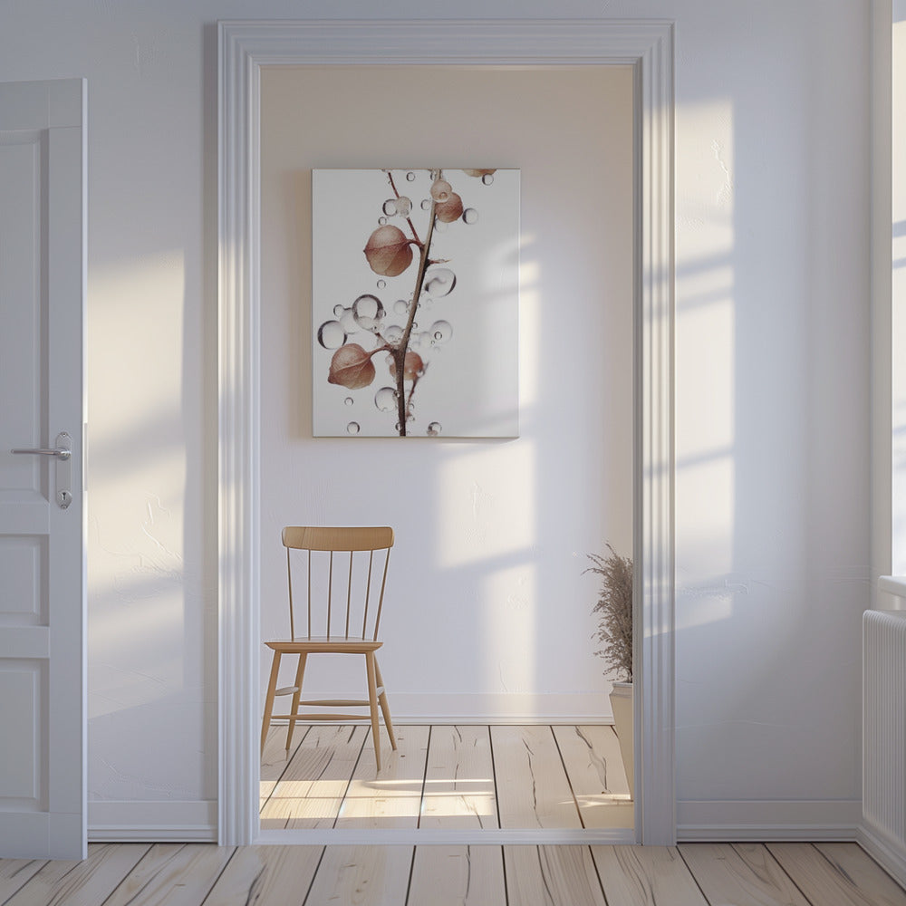 Bubbles and Blooms | Canvas