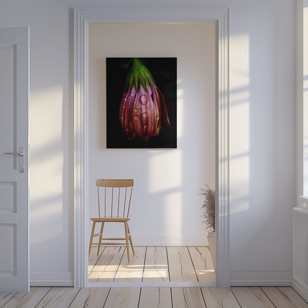 After the rain | Canvas