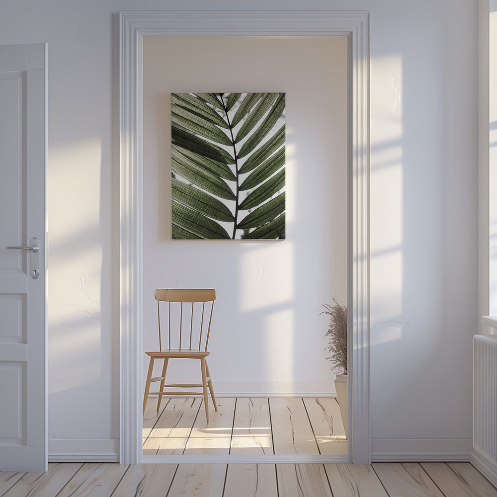 Palm Leaves 24 | Canvas