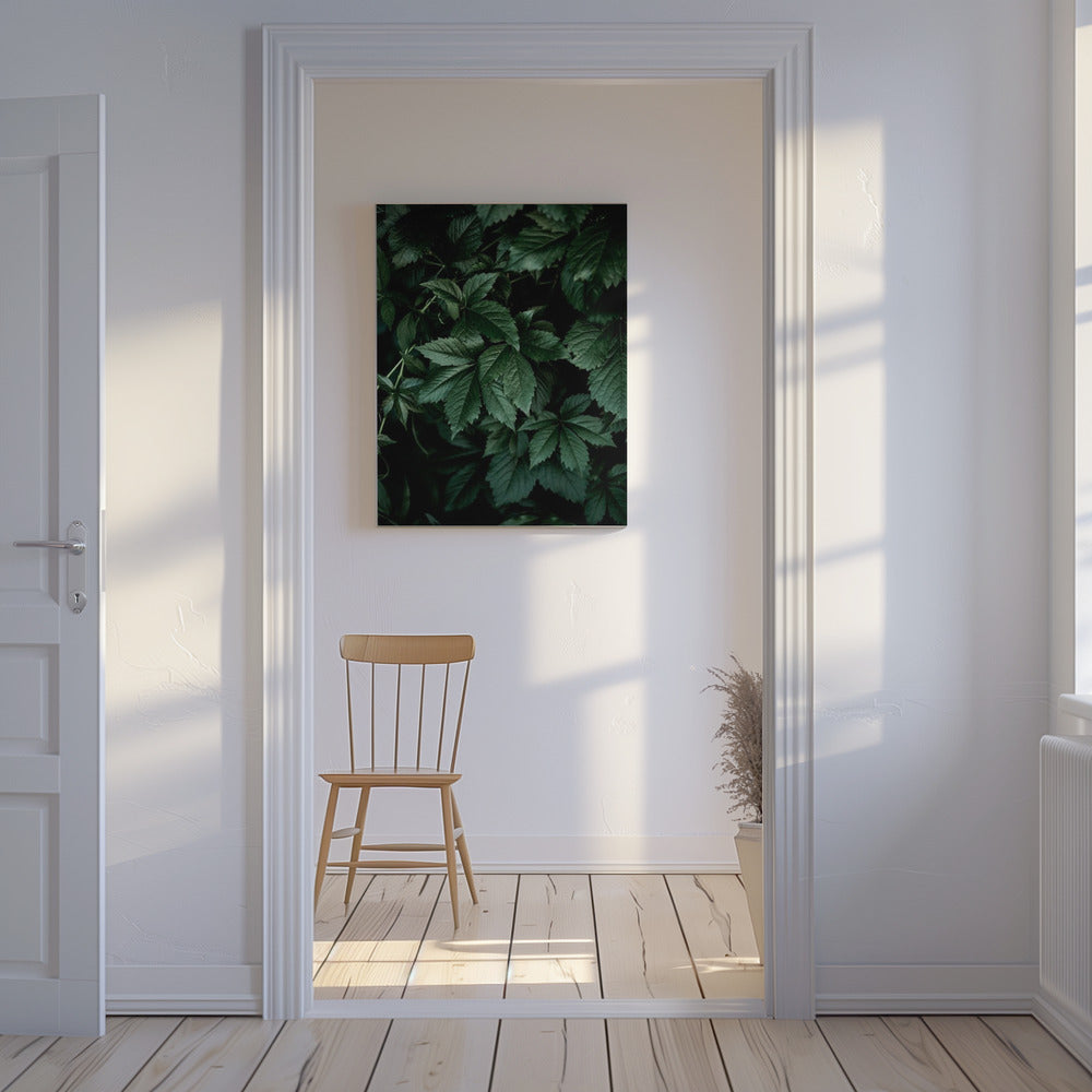 Dark Leaves 13 | Canvas