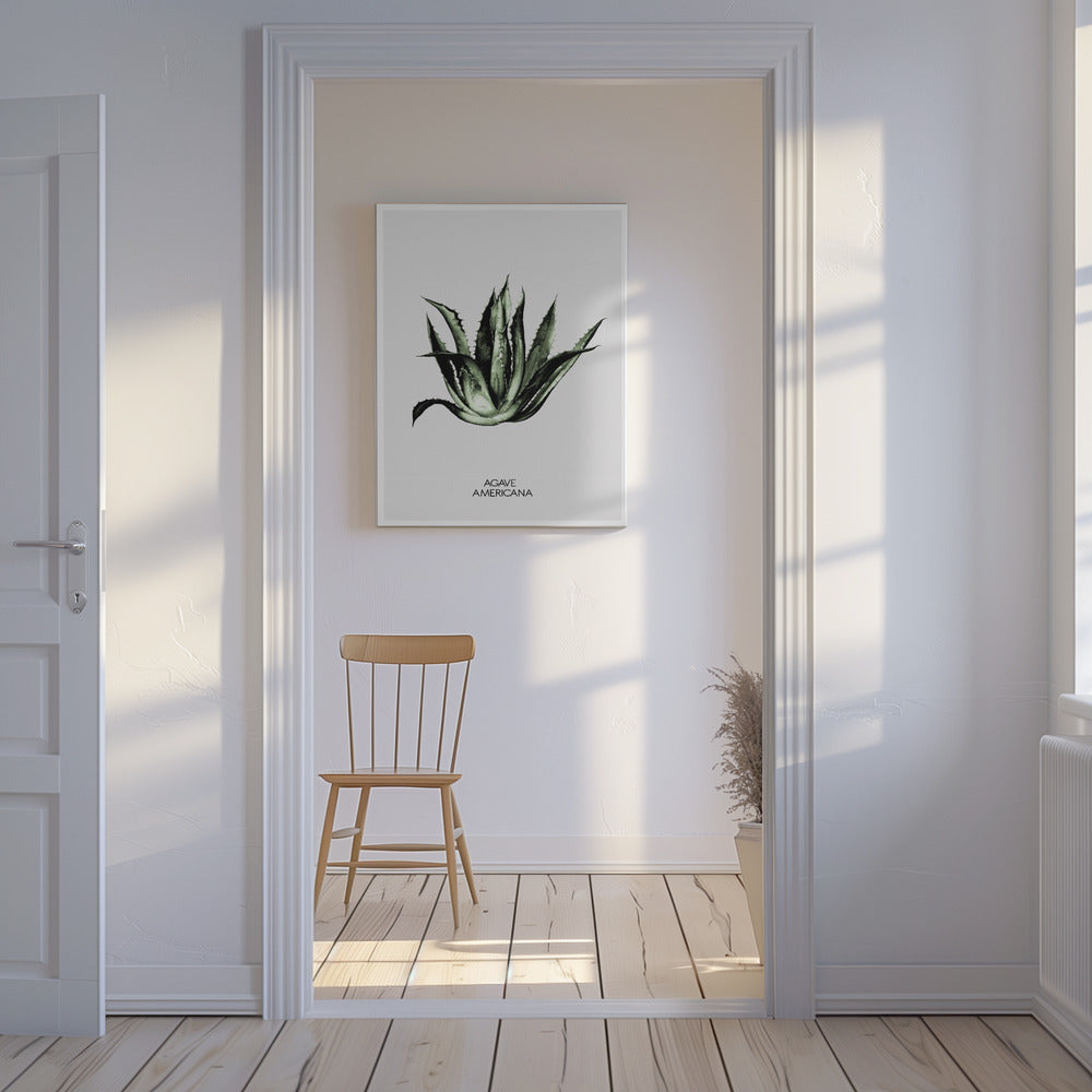 Green Agave Elegance | Canvas