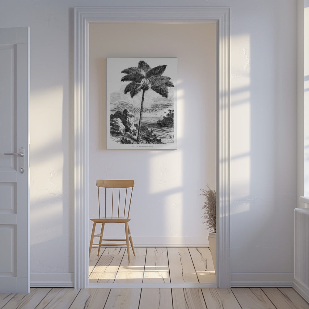 Vintage Palm Tree Drawing I | Canvas