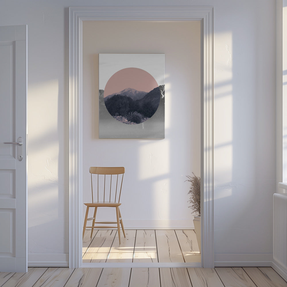 Shapes In Nature II | Canvas