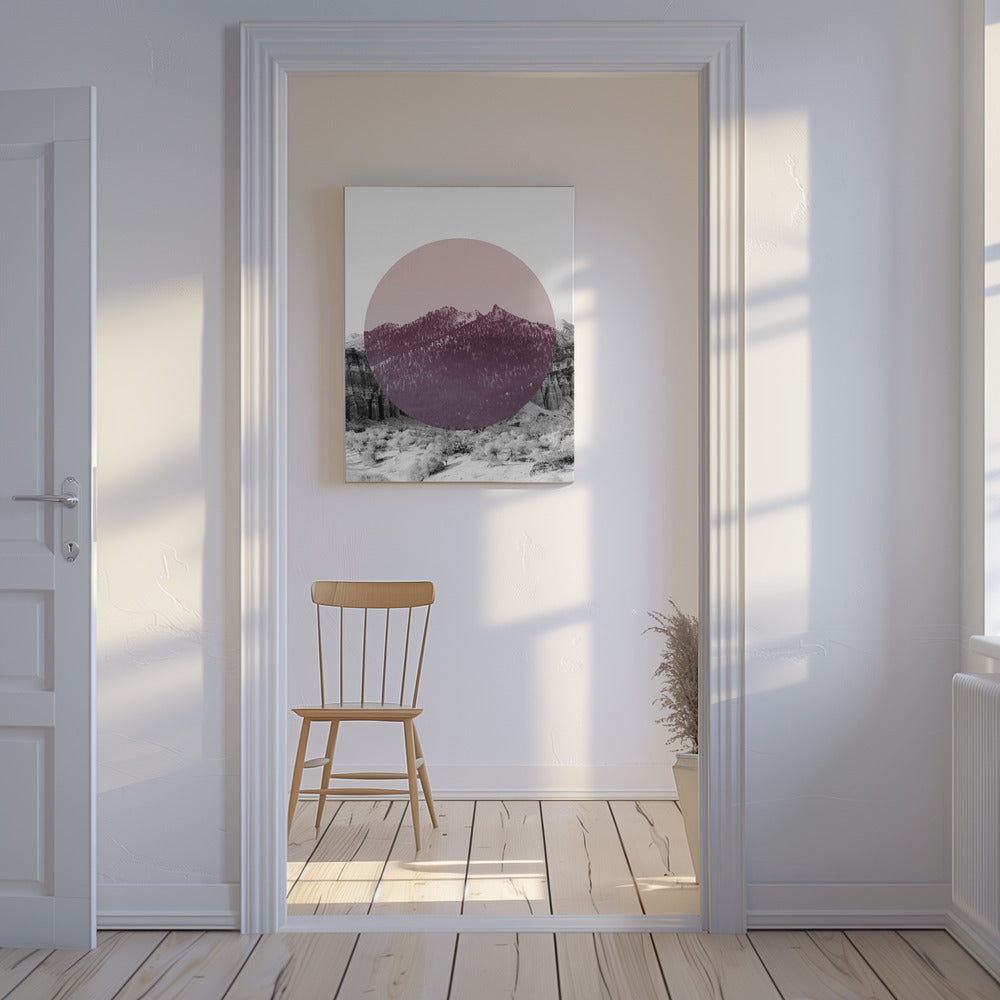 Shapes In Nature I | Canvas