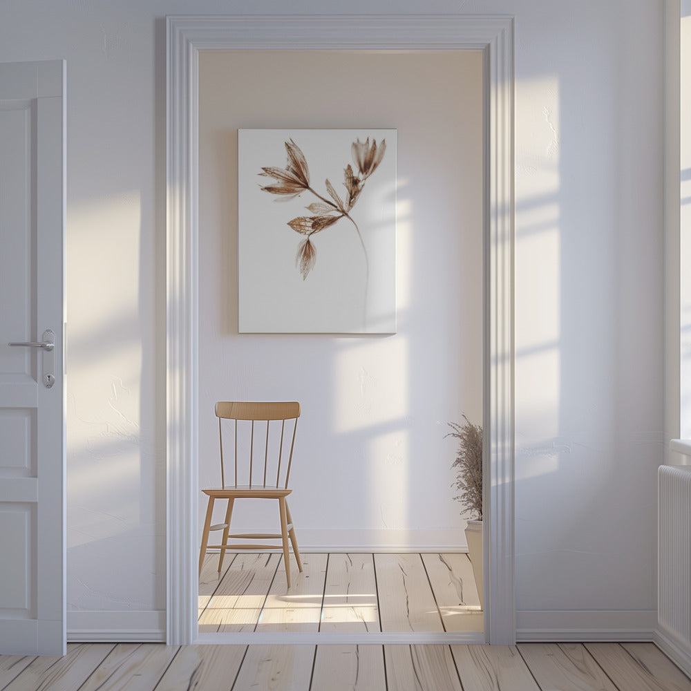 Delicate Plant I | Canvas