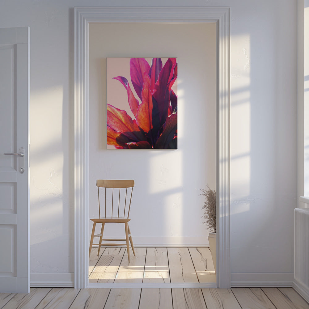 Fuchsia Leaves II | Canvas