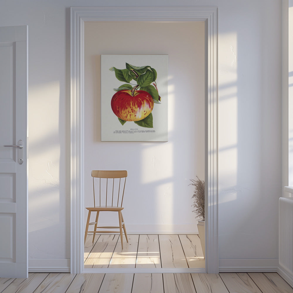 Wealthy Apple Lithograph | Canvas