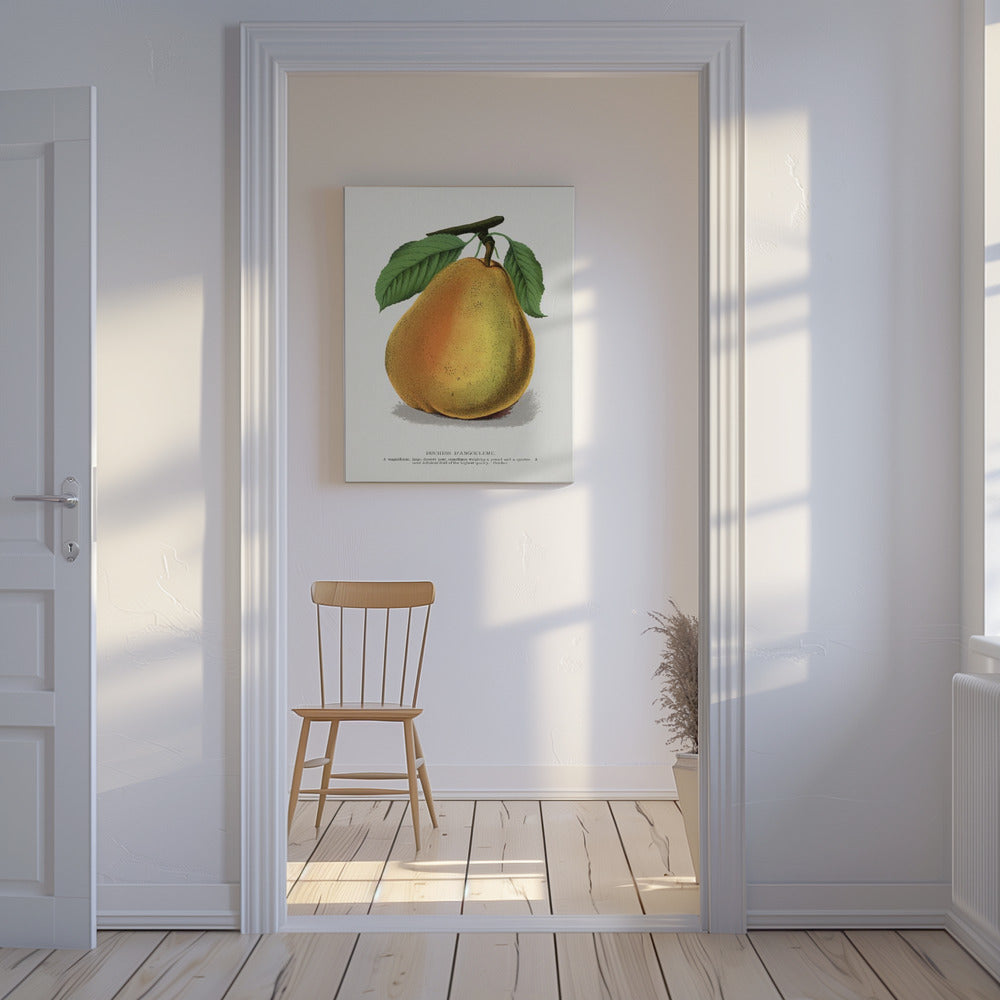 Duchess D'angouleme Pear Lithograph | Canvas