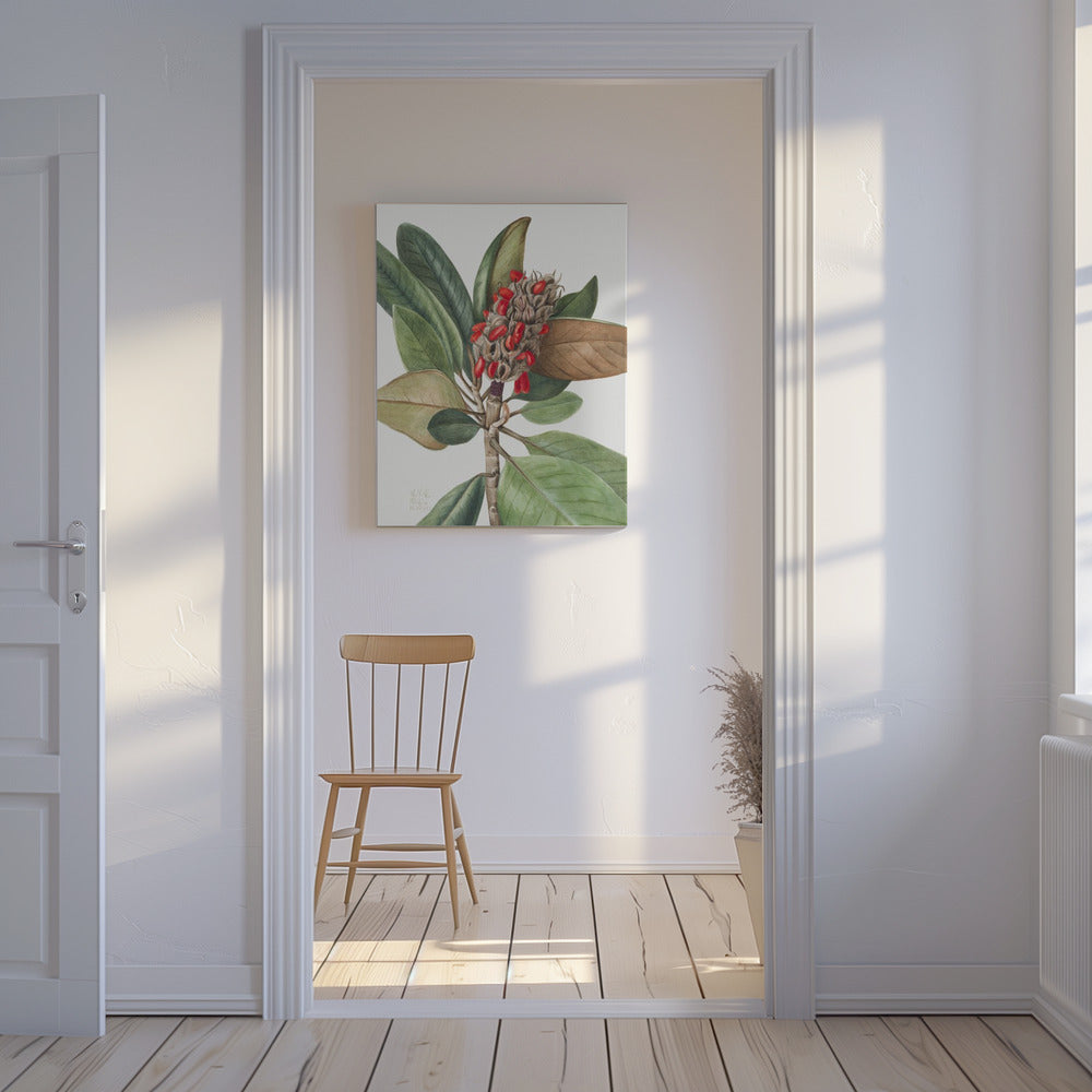 Southern Magnolia (1923) | Canvas