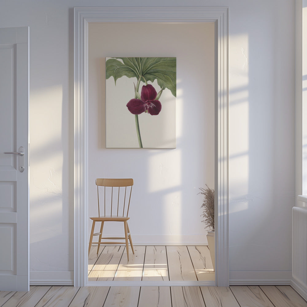 Sweet Trillium | Canvas