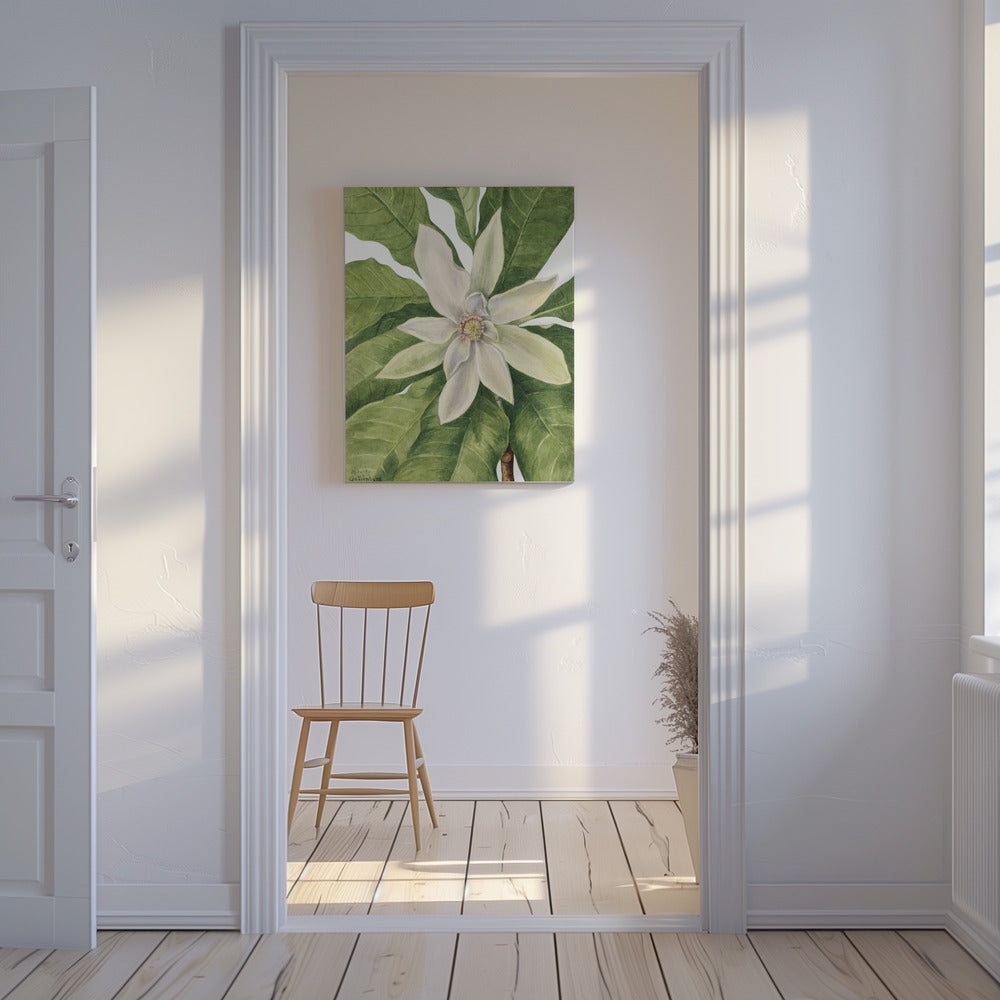 Umbrella Tree (1932) | Canvas
