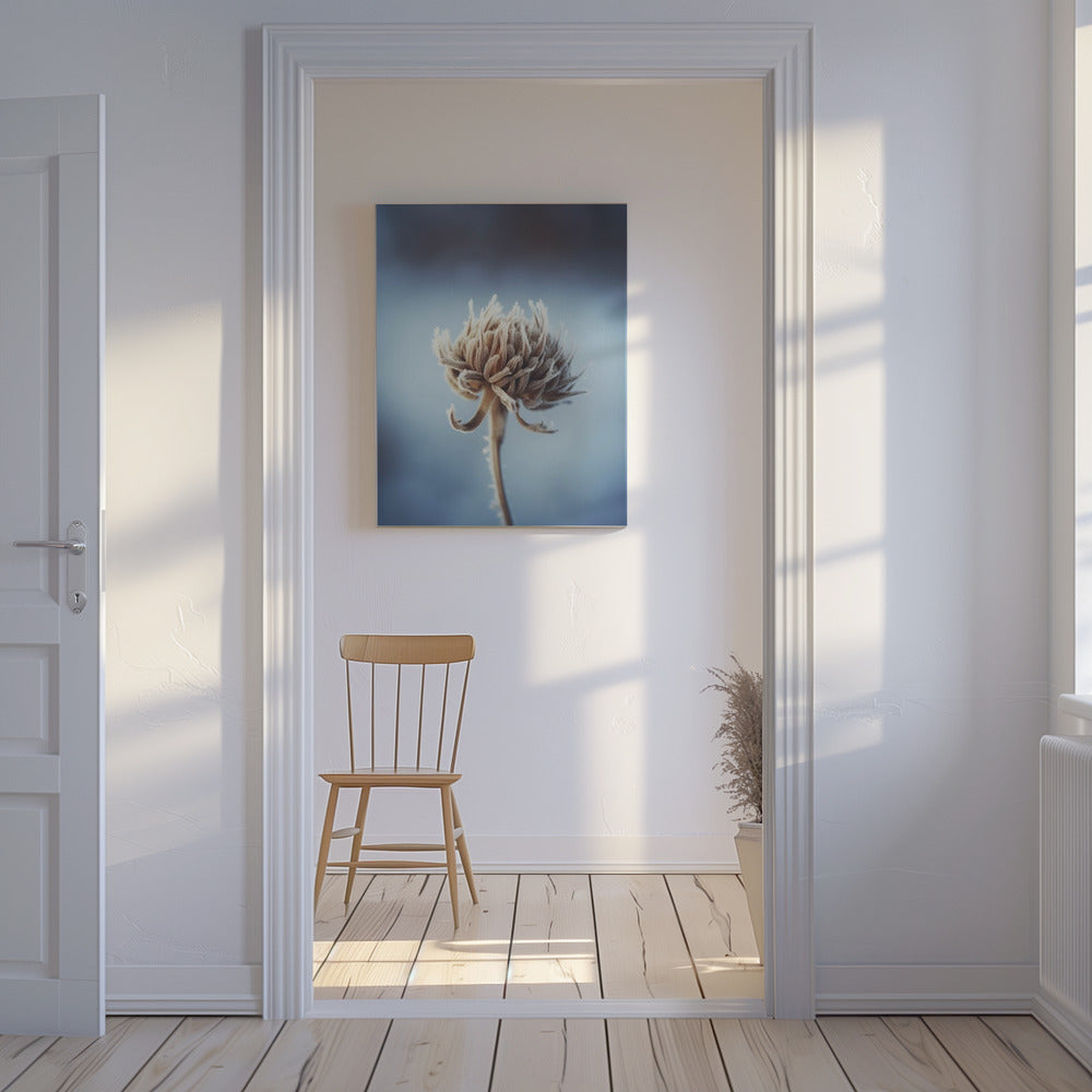 Frosted Blossom | Canvas