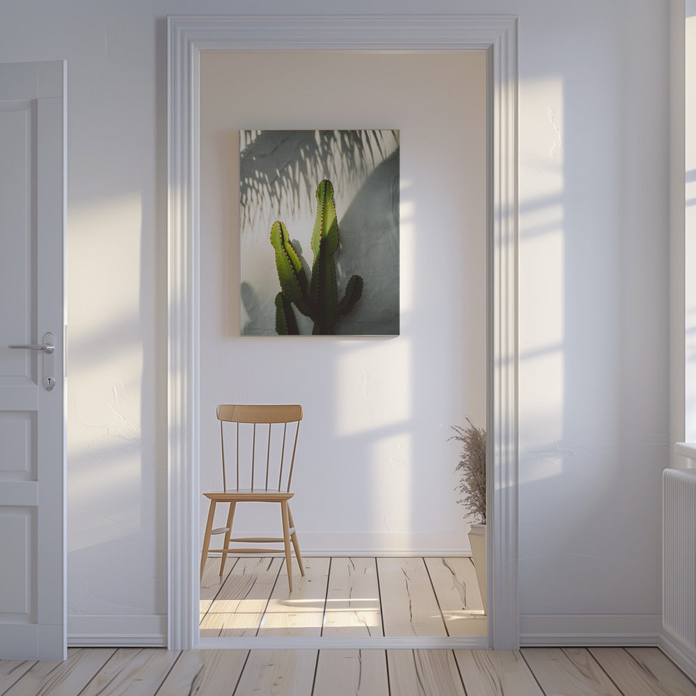 Socal Shadows | Canvas