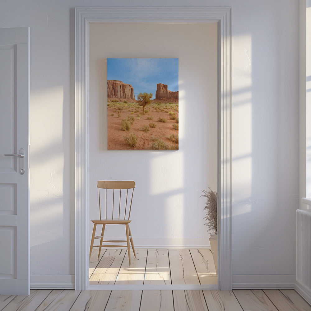 Monument Valley X | Canvas