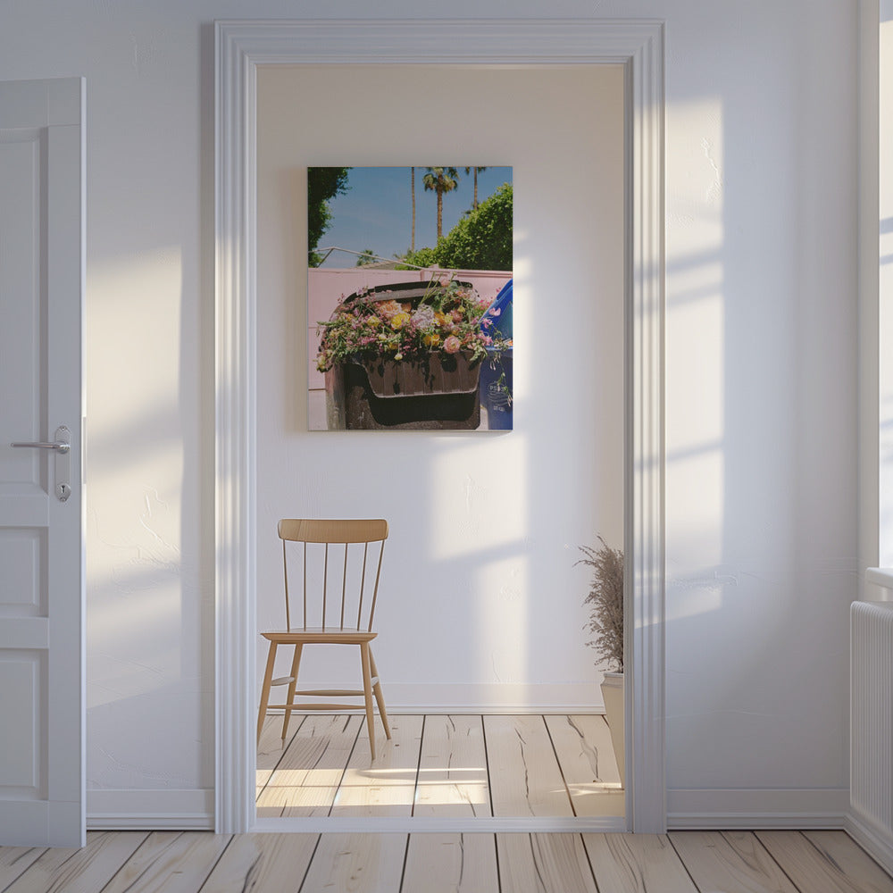 Palm Springs Curb | Canvas