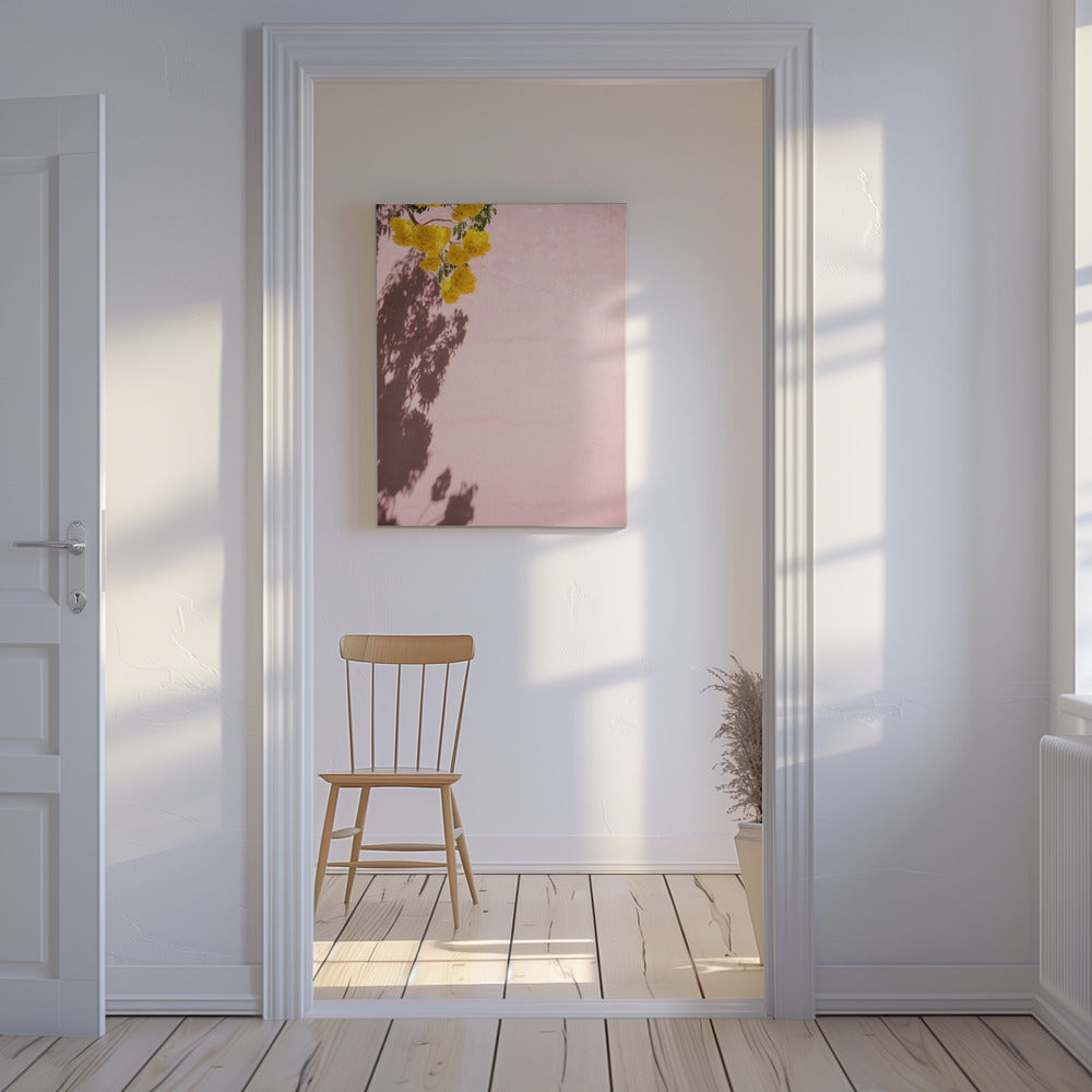 Yellow and Pink | Oaxaca Mexico | Canvas