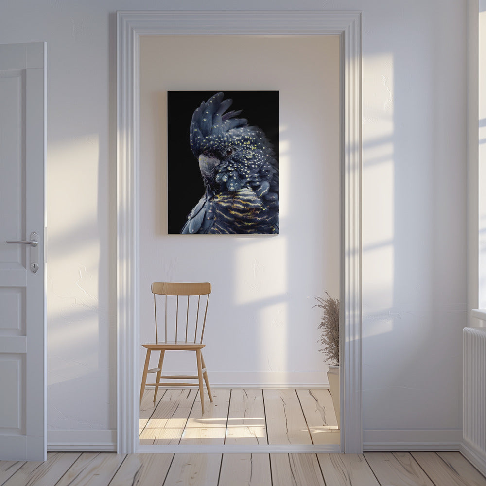Blackcockatoo2 | Canvas
