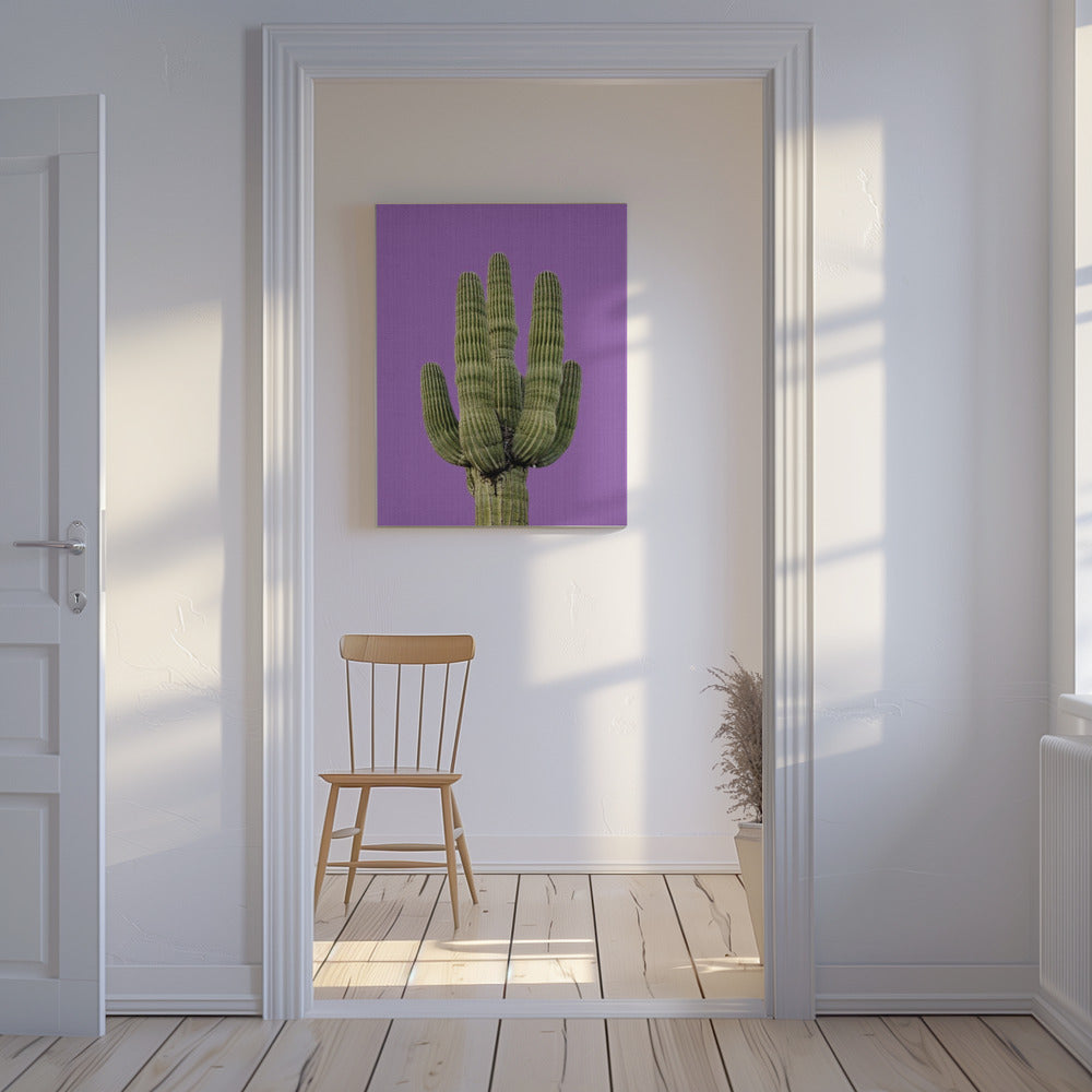 Purple Cactus | Canvas