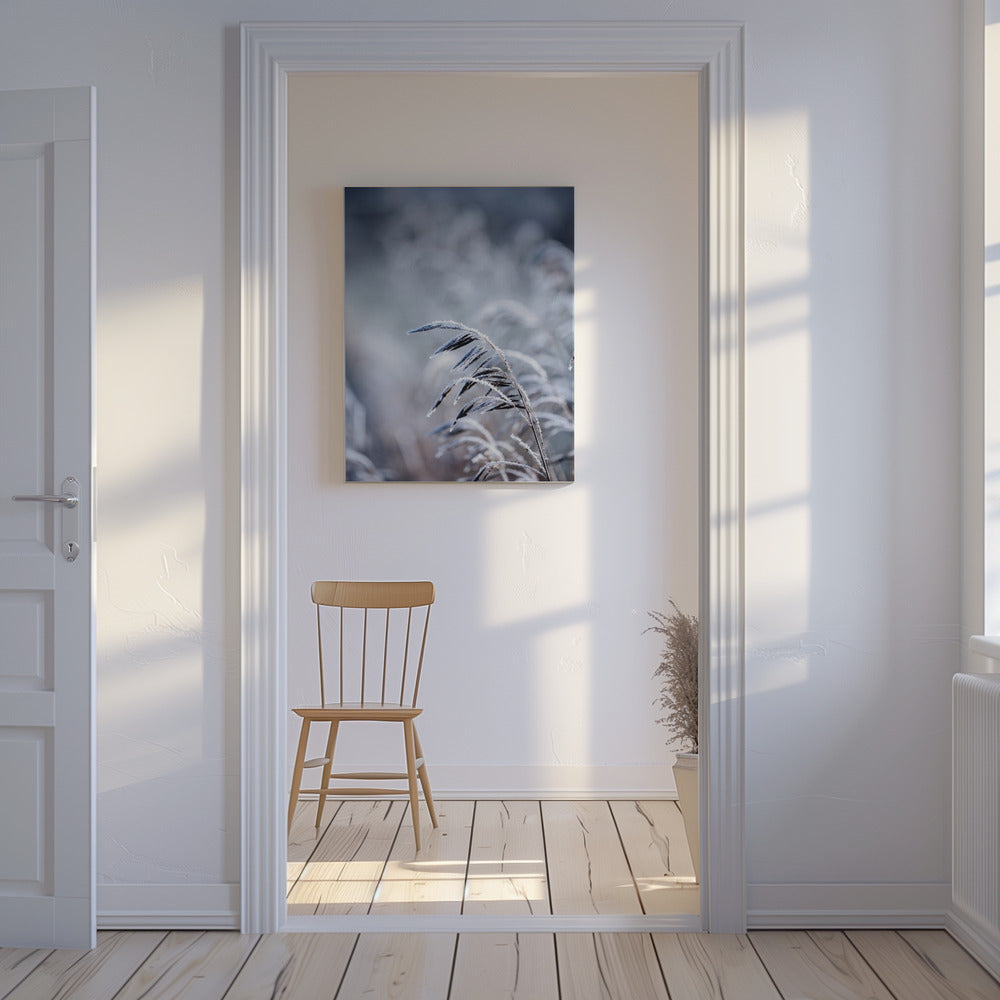 Frosty Morning 5 | Canvas