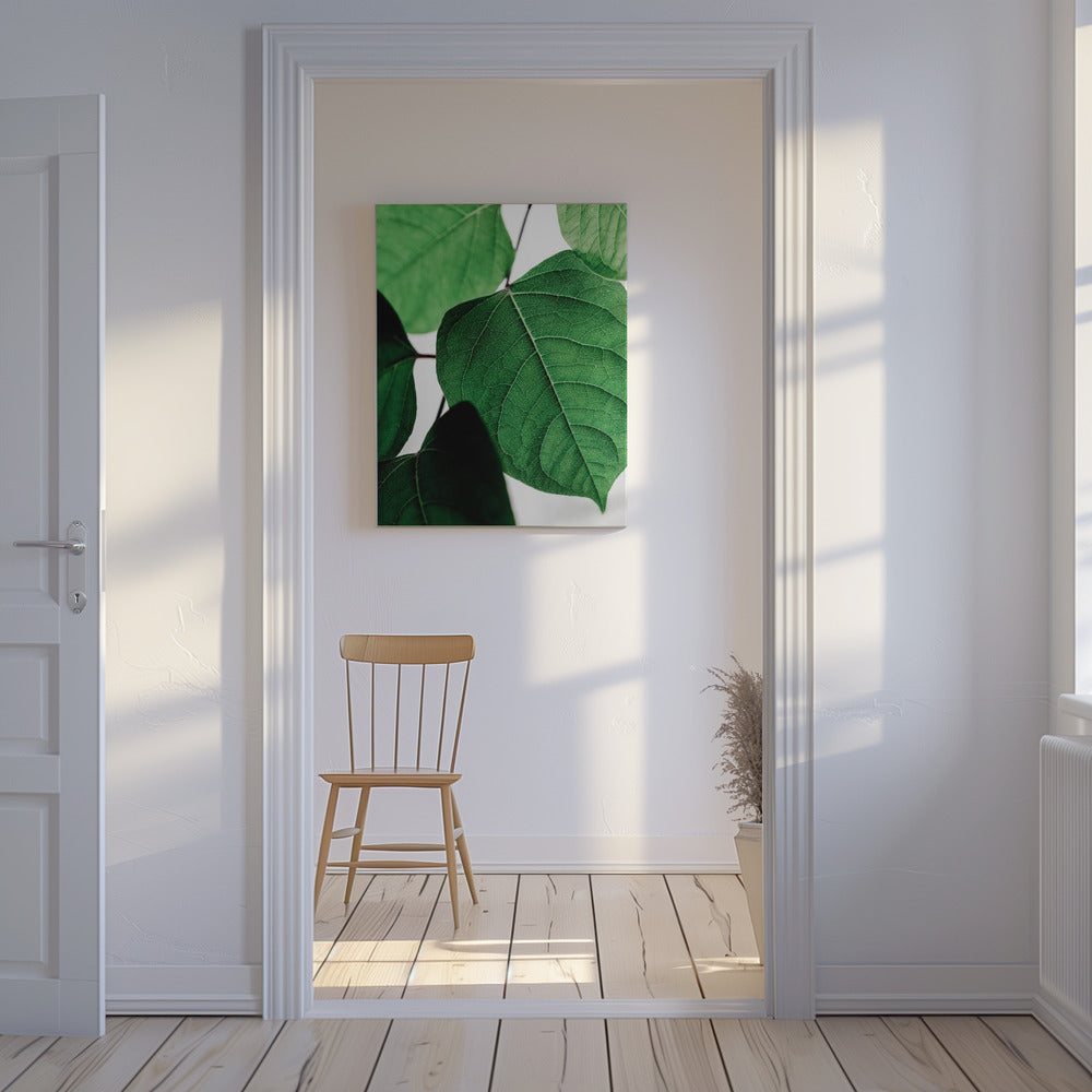 Summer Branches 2 | Canvas