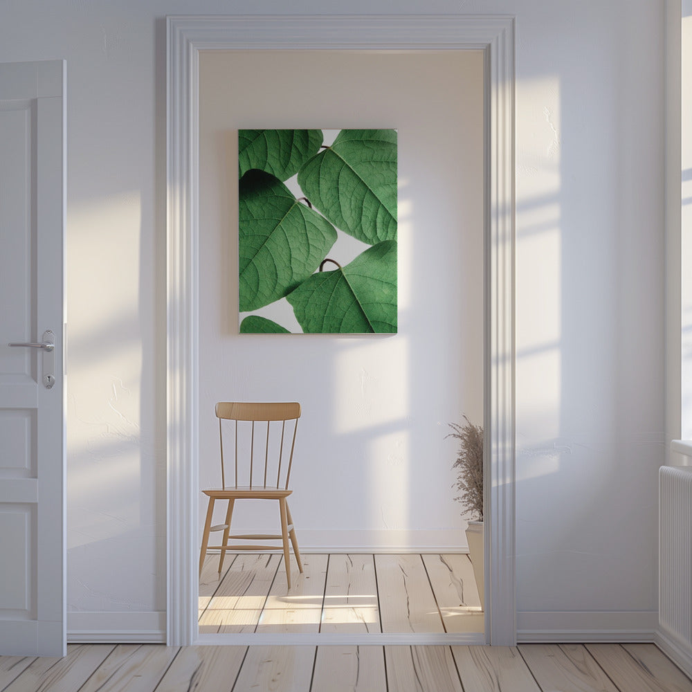 Summer Branches | Canvas