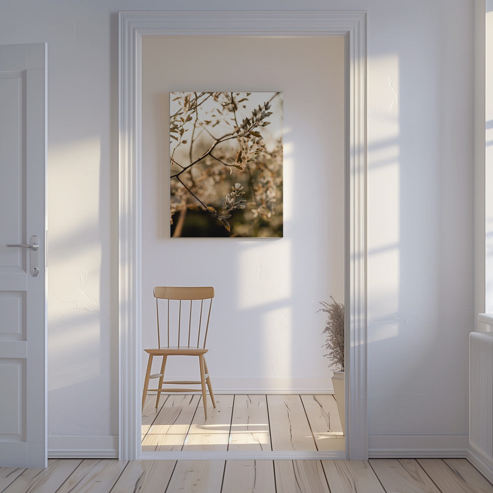 Last Spring 4 | Canvas