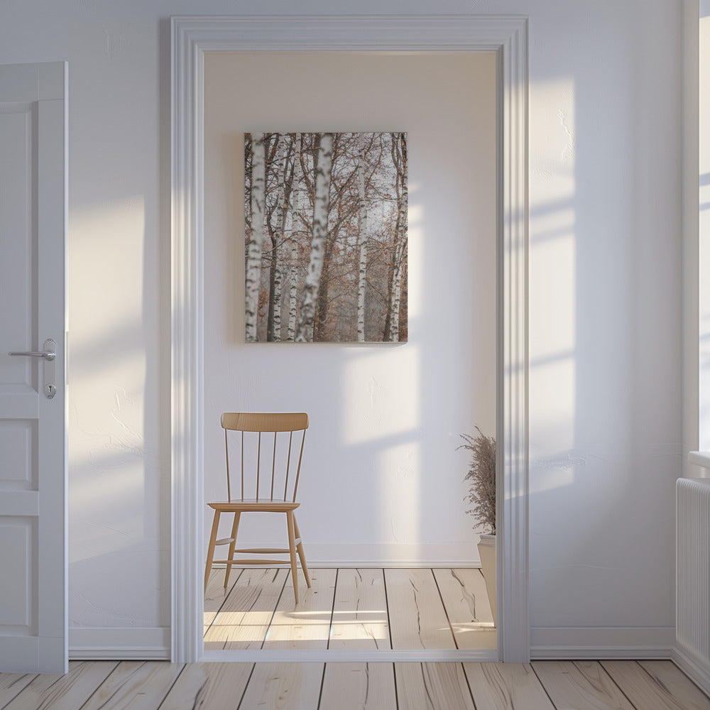 Birch Trees 6 | Canvas