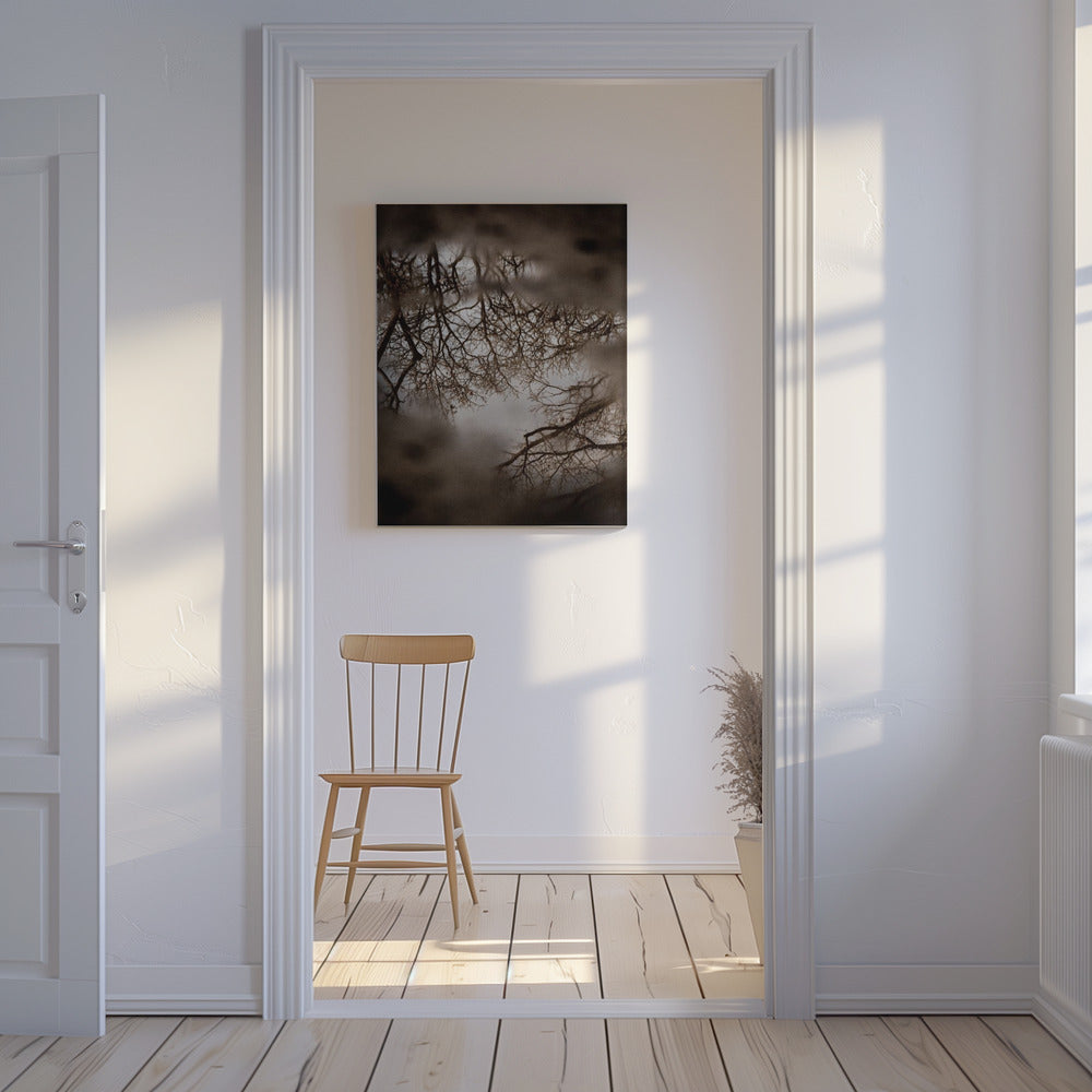 Winter Reflections | Canvas