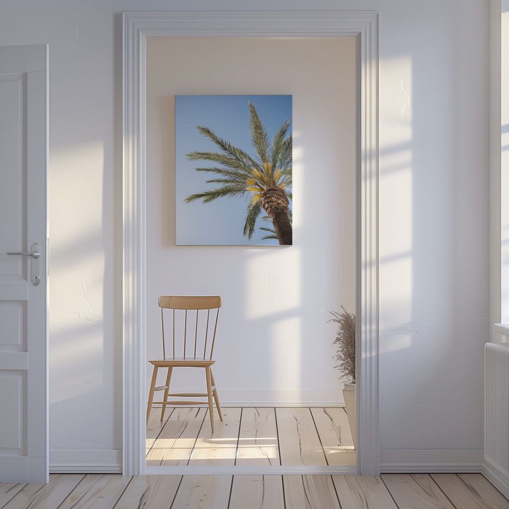 Vejer de La Frontera Palm Tree | Canvas