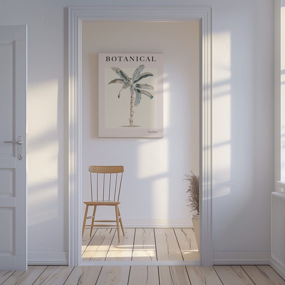 Botanicalno30 Ratioiso | Canvas