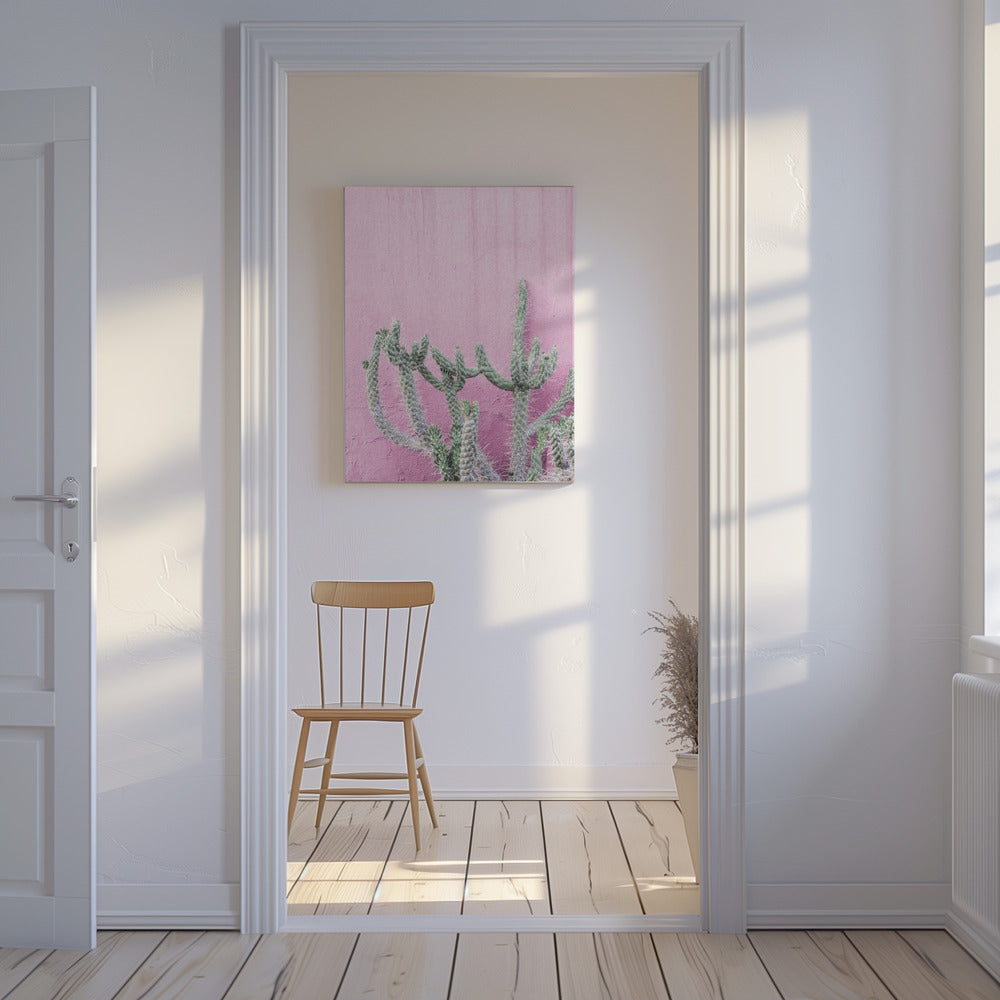 Cactus On Pink | Canvas