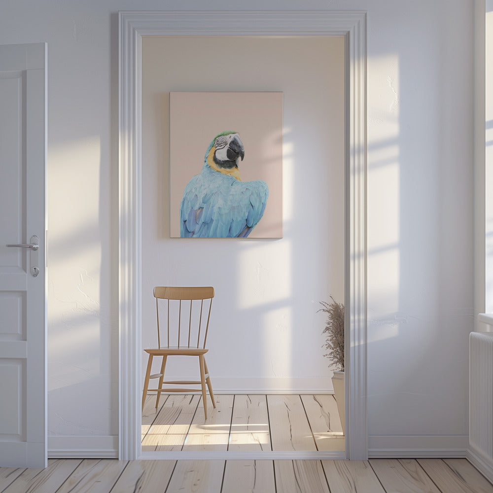 Blue Macaw | Canvas