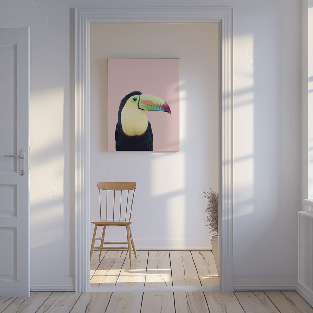 Toucan on Pink | Canvas