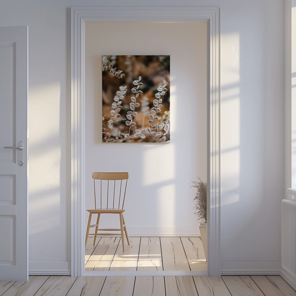 A Winter Morning 2 | Canvas