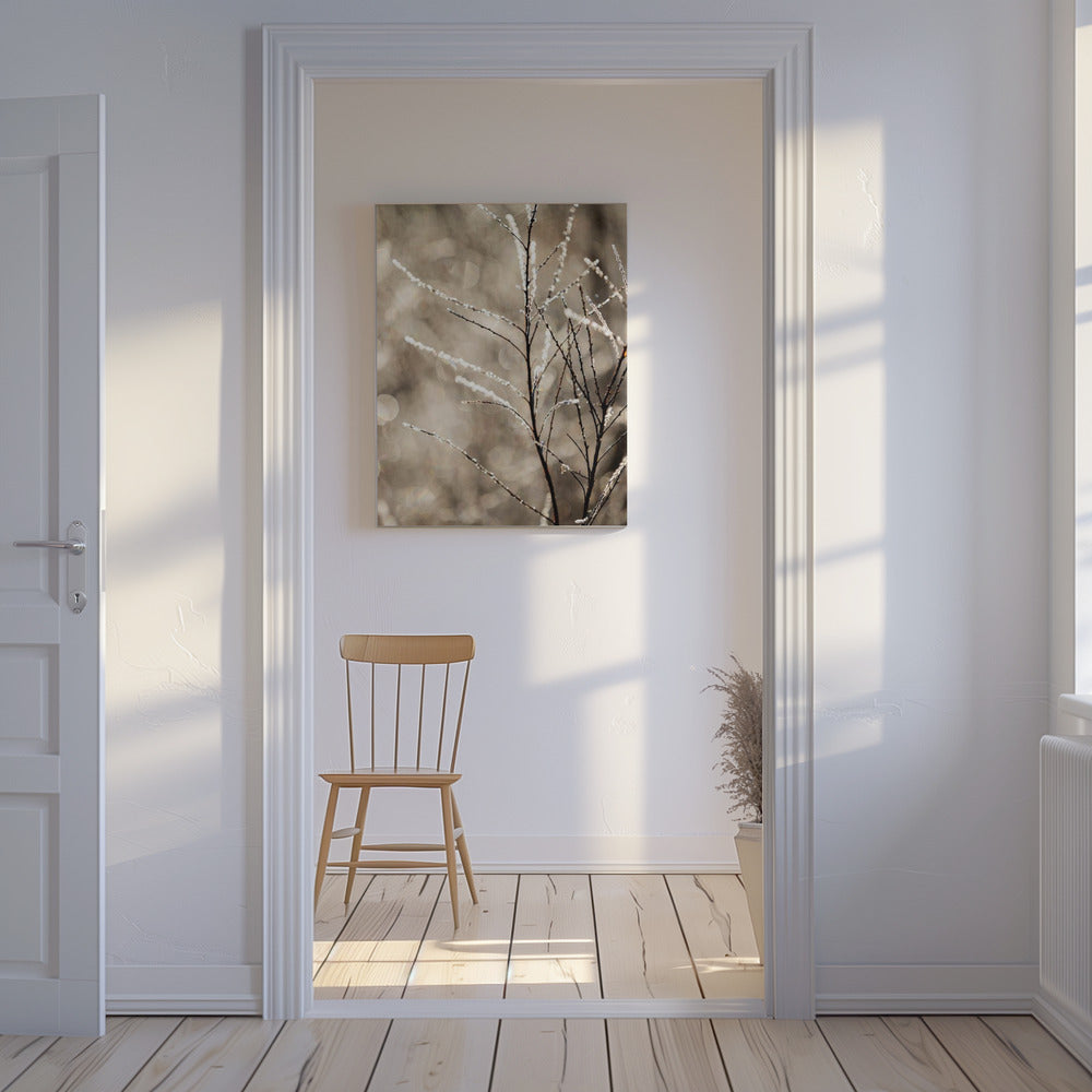 A Winter Morning 5 | Canvas