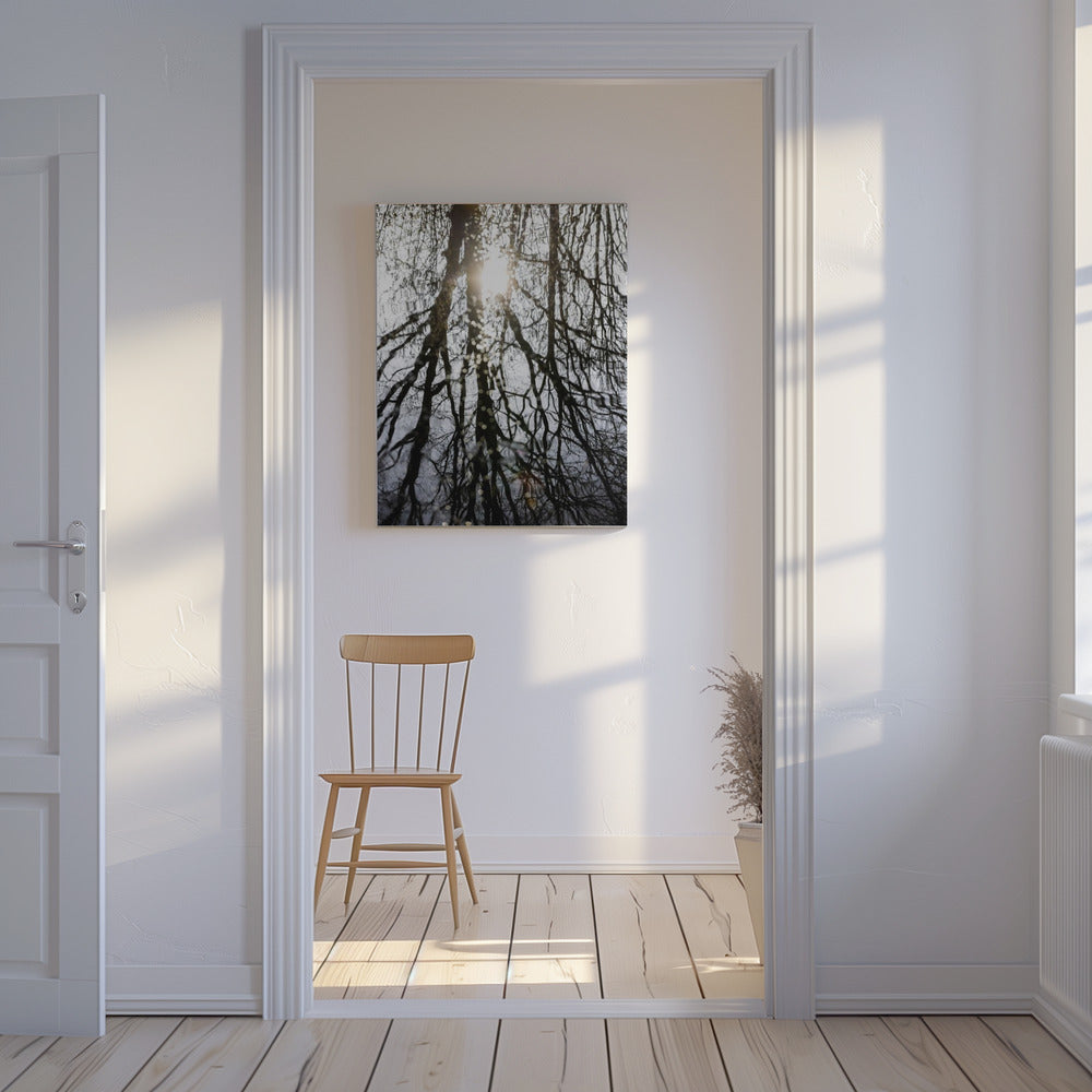 Winter Reflections 4 | Canvas