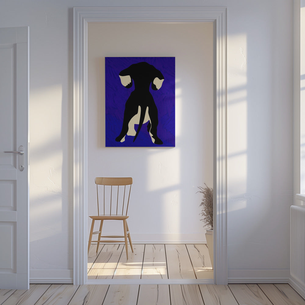 Blue Backdrop | Canvas