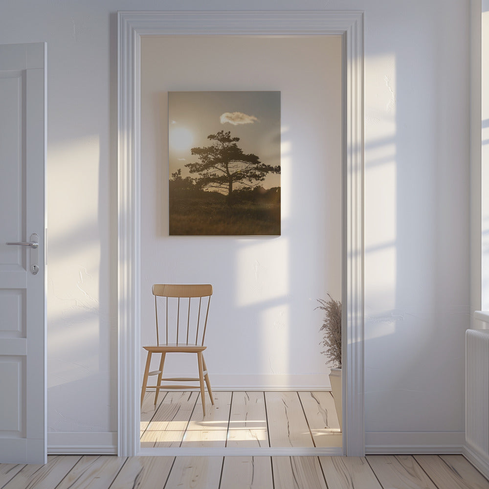 Tree In the Dunes 1 | Canvas