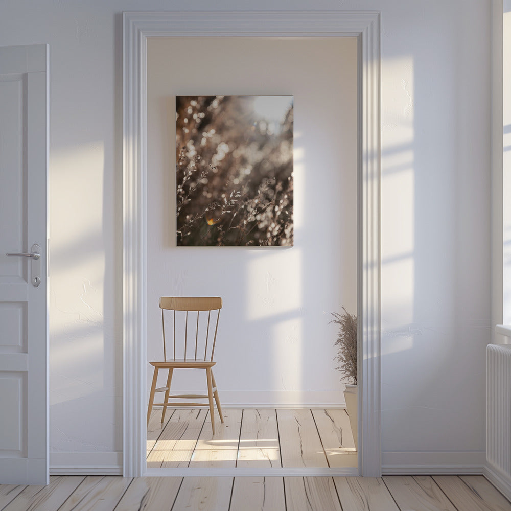 Warm Winter Light 6 | Canvas