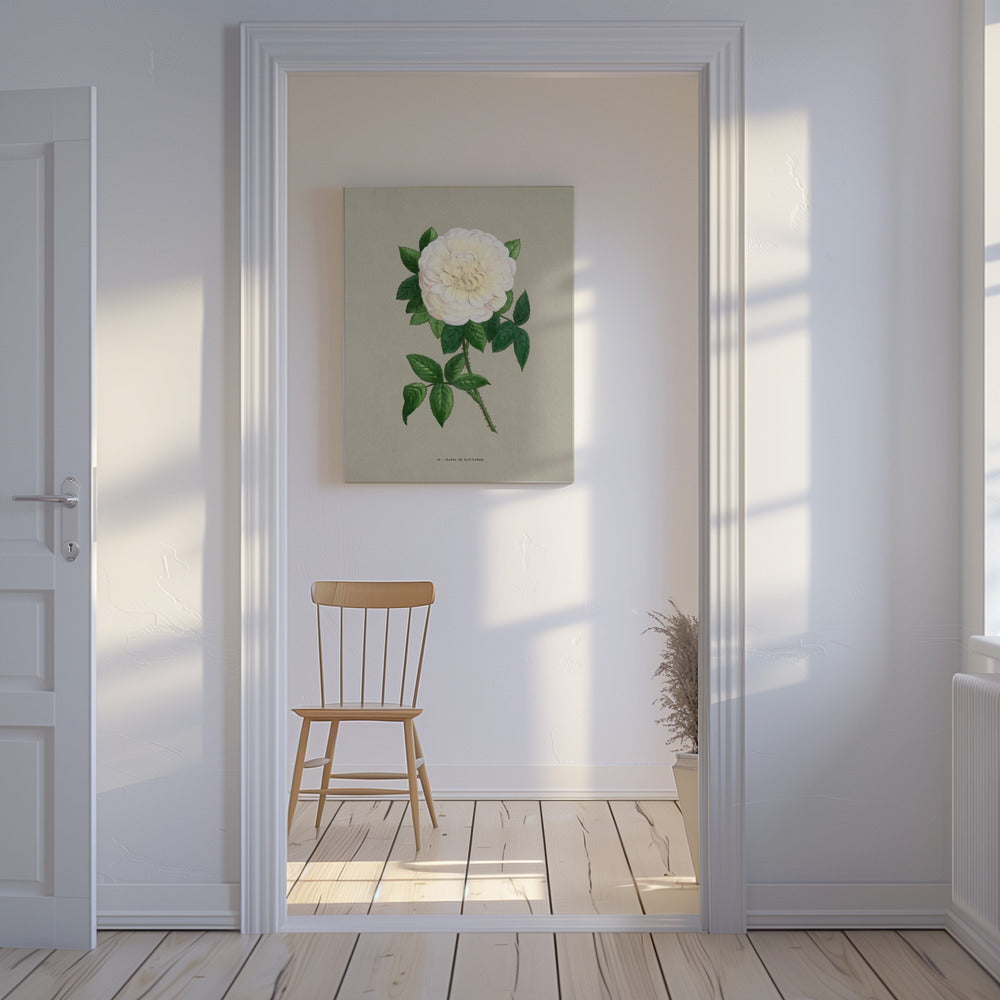 Rose Marie De Saint Jean | Canvas