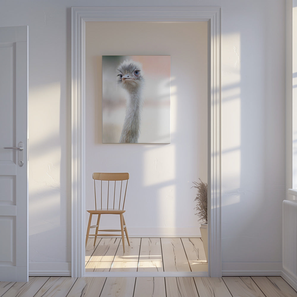 natural beauty | Canvas