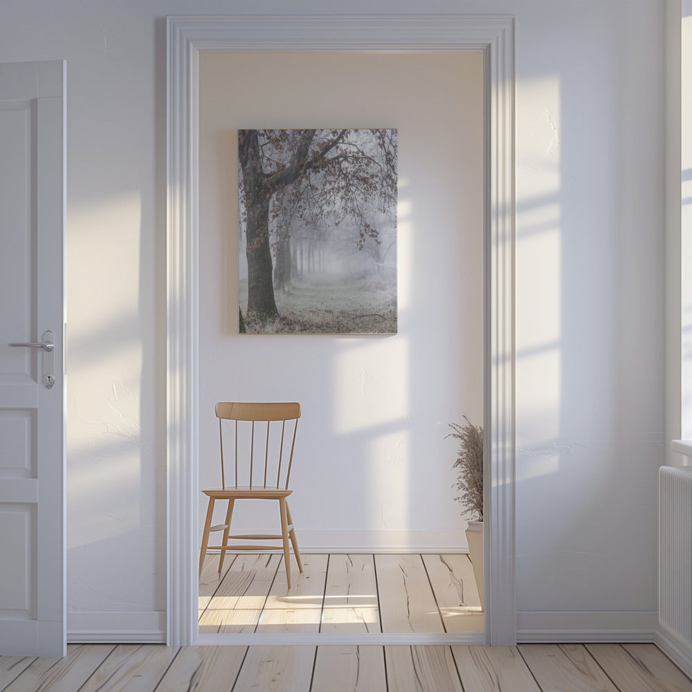 Foggy Winter Morning 3 | Canvas