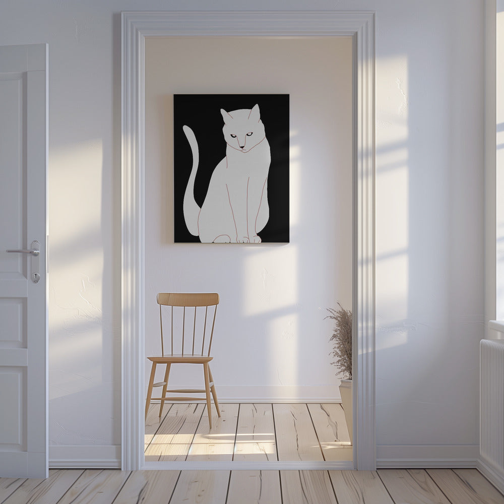 White and black cat | Canvas
