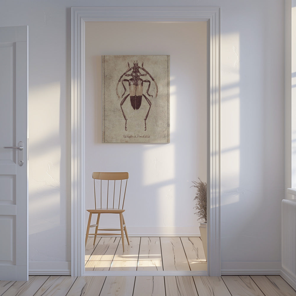 Vintage Insect Sketch | Canvas