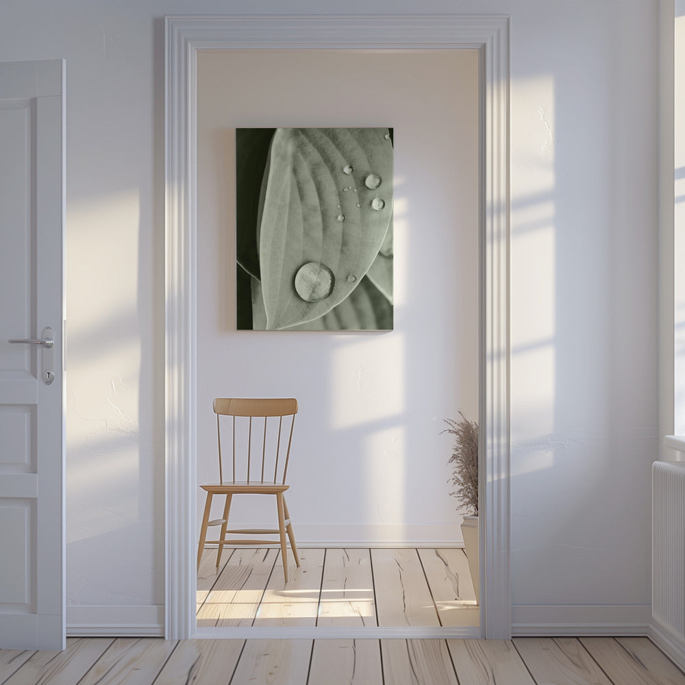 Dew on Leaf Elegance | Canvas