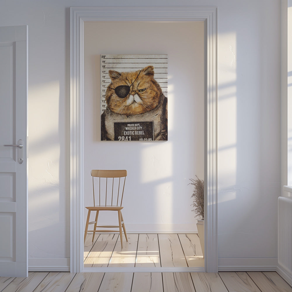 Funny Cat | Canvas