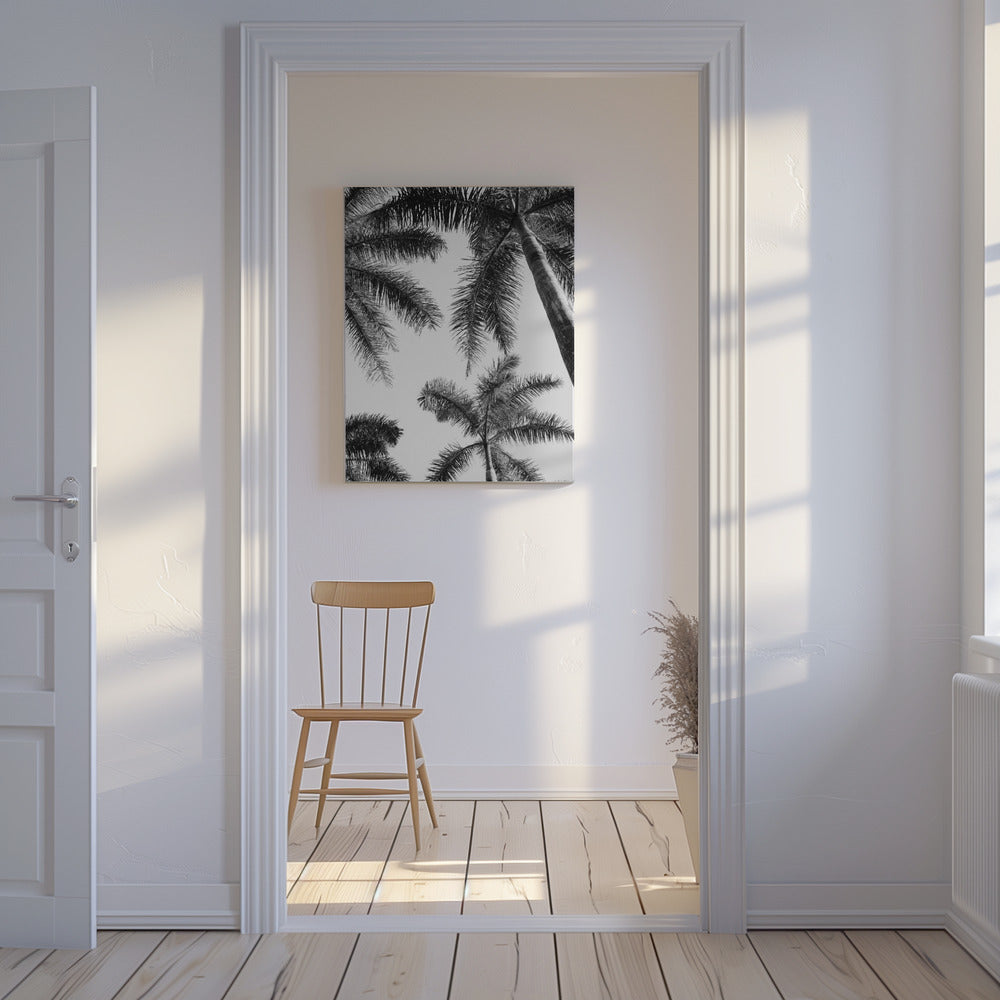 Black And White Palm Tree | Canvas