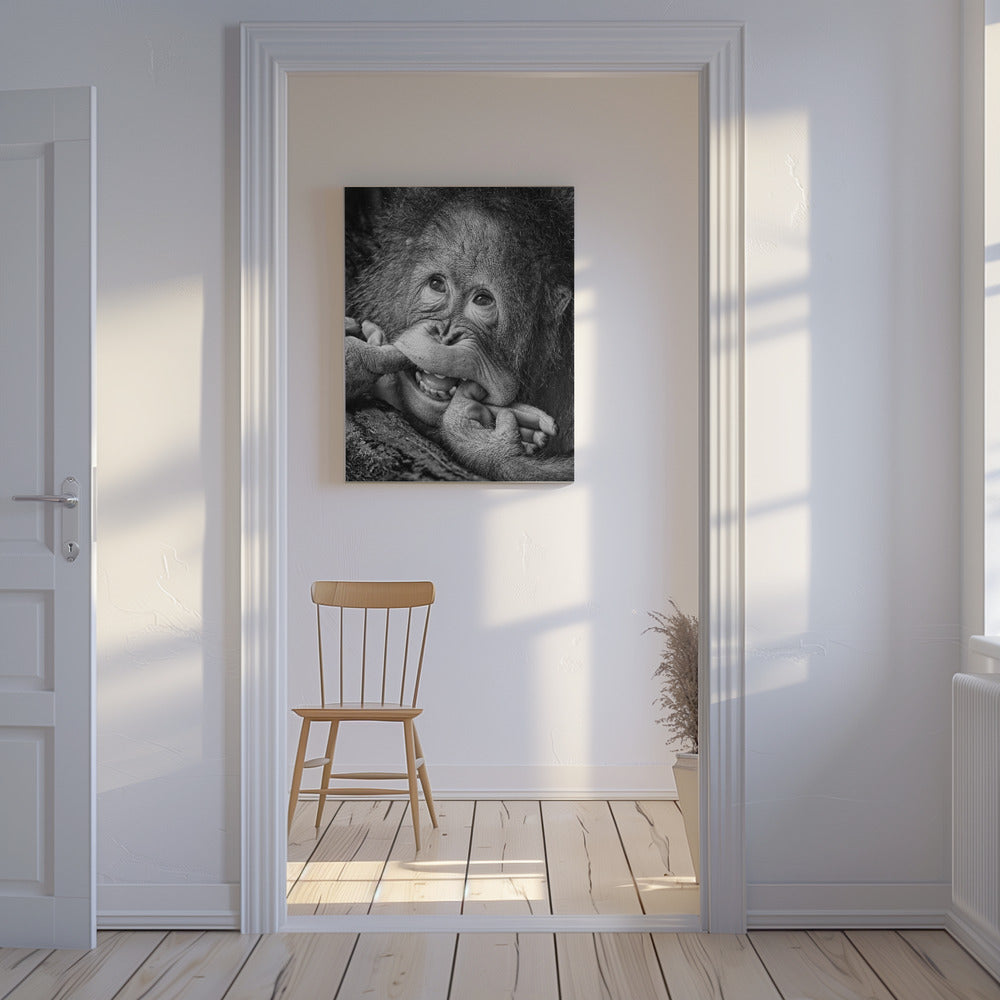 Big Smile.....please | Canvas